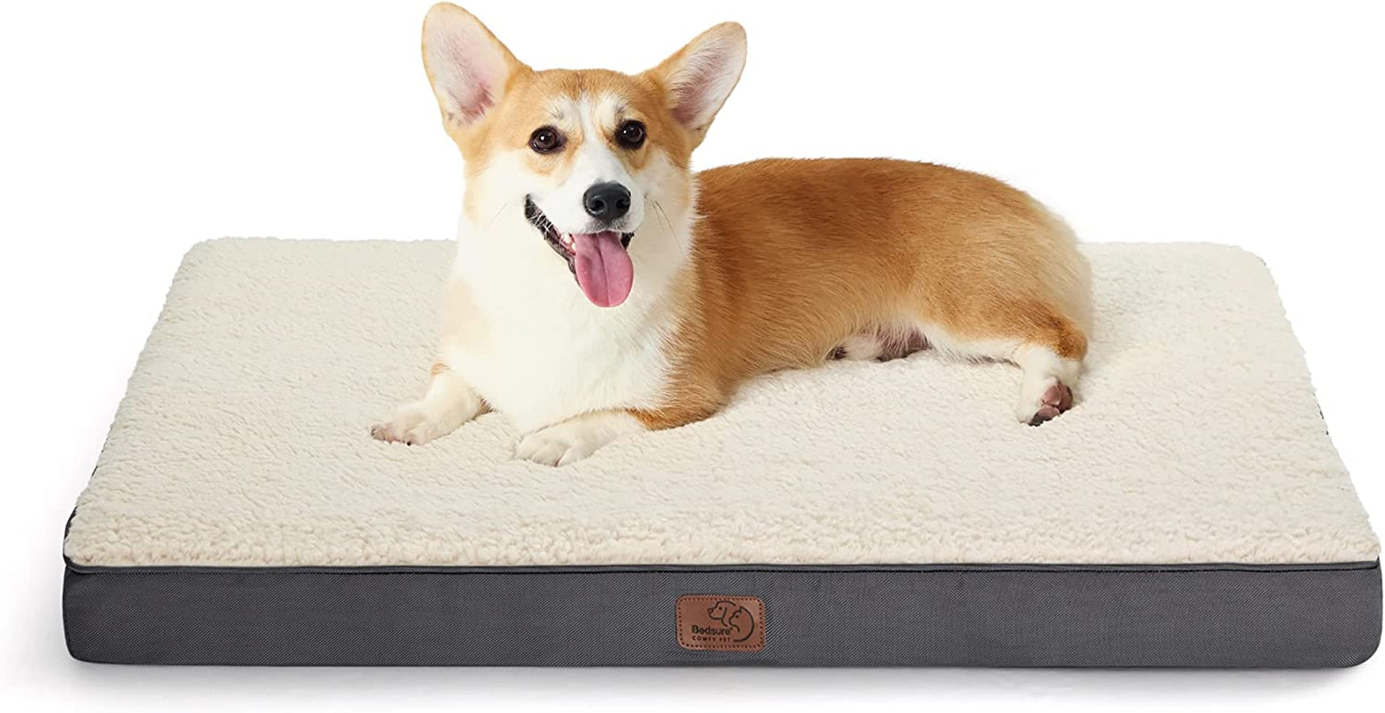 Dog Bed Medium Size Dog - Orthopedic Waterproof Puppy Beds with Removable Washable Cover, Egg Crate Foam Pet Mat, Suitable for Pet up to 35 Lbs
