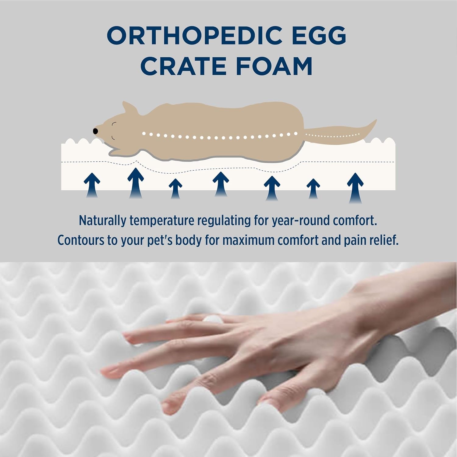 Dog Bed Medium Size Dog - Orthopedic Waterproof Puppy Beds with Removable Washable Cover, Egg Crate Foam Pet Mat, Suitable for Pet up to 35 Lbs